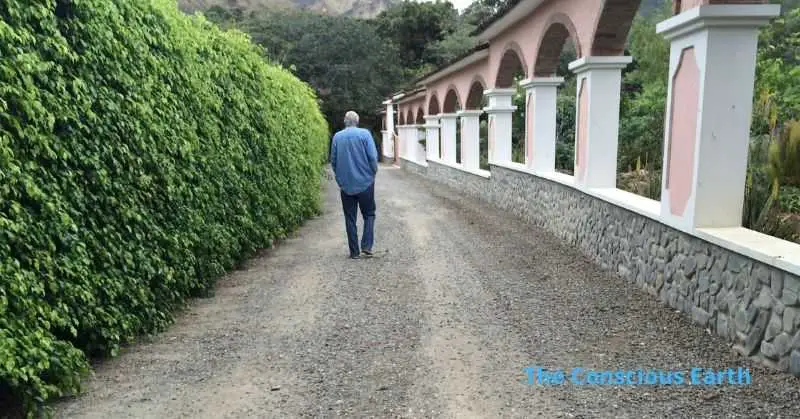 Man walking while being mindful