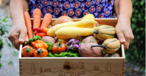 Box of vegetables from local farm