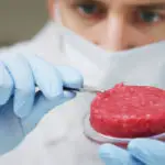 Scientist holding cultured mean in laboratory