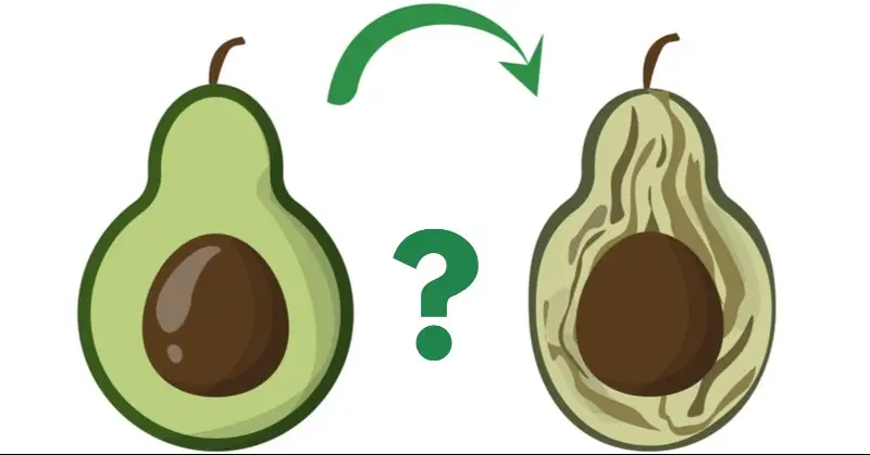 Illustration of Ripe and Overripe avocados