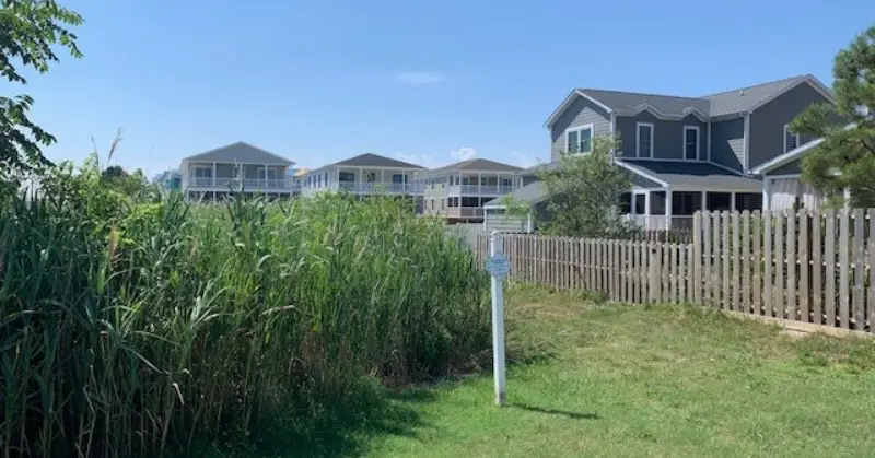 Houses built at edge of wetlands