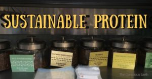 Sustainable protein counter in grocery store