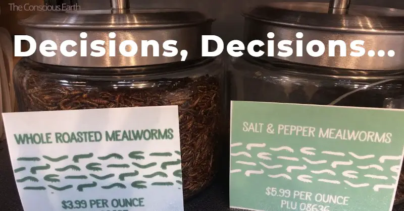 Whole Roasted or Salt & Pepper Mealworms in jars