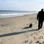Person walking a dog on a beach