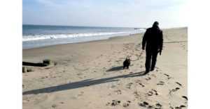 Person walking a dog on a beach