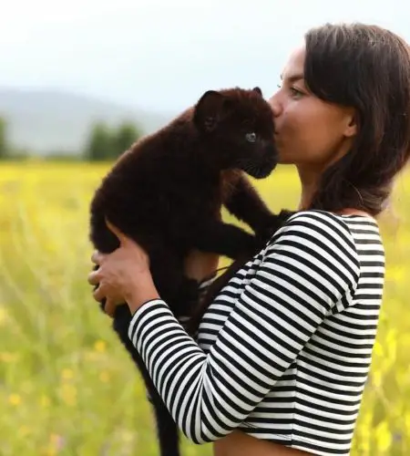Luna: The Rescued Panther Who Found Friendship With A Human And Rottweiler