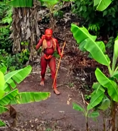 Uncontacted Amazon Tribe Are Revealed for the First Time in Stunning Drone Footage