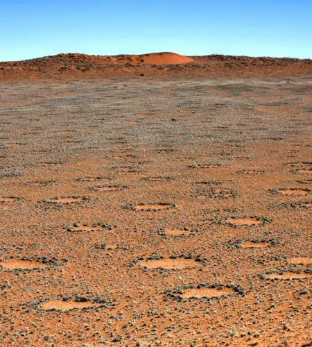 Exploring the Mystery of Fairy Circles: More Sites Discovered Around the World